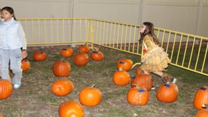 IMG_9724.JPG