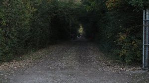 IMG_9665.JPG